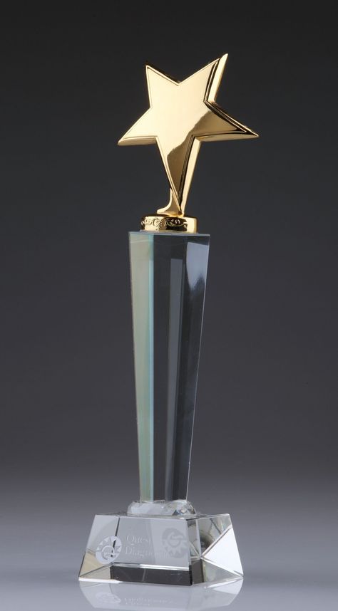 Gold Metal Star Crystal Awards Wood Trophy, Trophy Craft, Metal Trophy, Crystal Trophy, Trophy Collection, Star Trophy, Acrylic Trophy, Award Display, Award Ideas