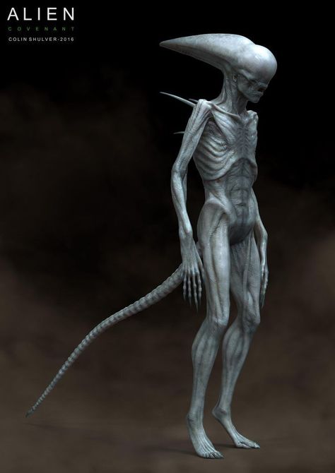 Alien Covenant Xenomorph, Alien Covenant Concept Art, Movie Poster Illustration, Giger Alien, Alien Alien, Ellen Ripley, Predator Alien Art, Kaiju Design, Predator Movie