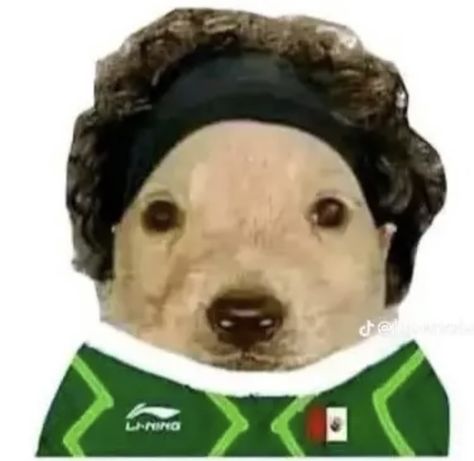 Memo Ochoa Pfp, Memo Ochoa Icons, Ochoa Pfp, Soccer Pfp, Mexico Football Team, Mexico Football, Funny Football Pictures, Memo Ochoa, Mexico Team