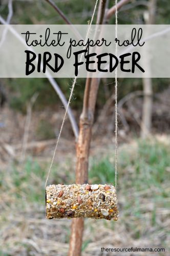 Reuse toilet paper rolls to make homemade bird feeders. This is a great Earth Day project for kids. Recycled Crafts For Kids, Bird Feeder Craft, Crafts Simple, Earth Week, Earth Day Projects, Fun Summer Crafts, Homemade Bird Feeders, Earth Day Crafts, Toilet Paper Rolls