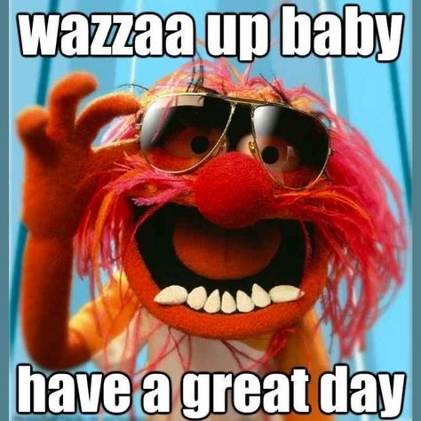 great day animal muppets meme Good Day Meme, Great Day Quotes, Funny Good Morning Memes, Morning Memes, Funny Good Morning Quotes, Morning Quotes Funny, Good Morning Funny, Good Day Quotes, Good Morning Sunshine