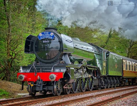 The Flying Scotsman Steampunk Aesthetic, Flying Scotsman, Steam Engine Trains, Steam Train, Disneyland Park, Steam Engine, Steam Trains, Steam Locomotive, Train Travel