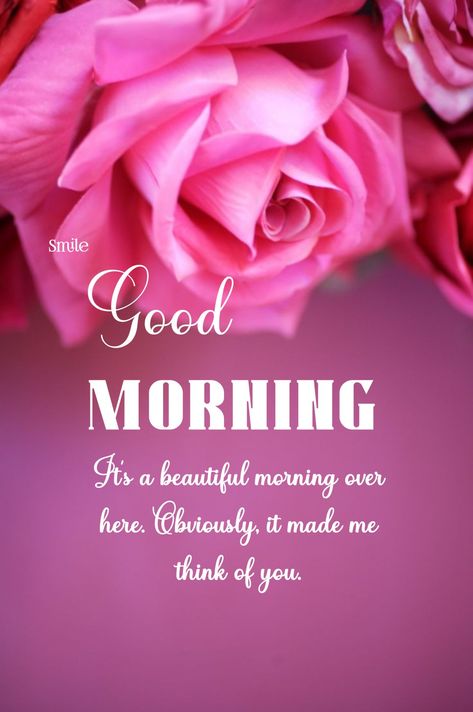 Good Morning Flower images for WhatsApp 𝐆𝐨𝐨𝐝 𝐌𝐨𝐫𝐧𝐢𝐧𝐠 𝐖𝐢𝐬𝐡𝐞𝐬 #goodmorningmessages Good Morning Thinking Of You Quotes, Good Morning Darling, Good Morning For Her, Whatsapp Good Morning, Darling Quotes, Sweetheart Quotes, Thinking Of You Quotes, Morning Sweetheart, Flowers Quotes