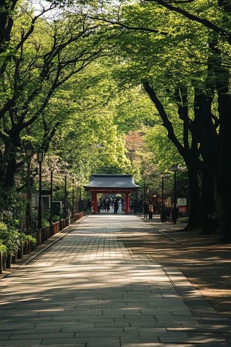 "🌸🏯 Experience the charm of Ueno Park in Tokyo! Stroll through lush gardens, visit museums, and enjoy seasonal cherry blossoms in this historic urban park. 🌳🗼 #UenoPark #Tokyo #CherryBlossoms" Ueno Park Tokyo, Ueno Park, Japan Garden, Urban Park, Japan Trip, Lush Garden, Green Space, Cherry Blossoms, Japan Travel