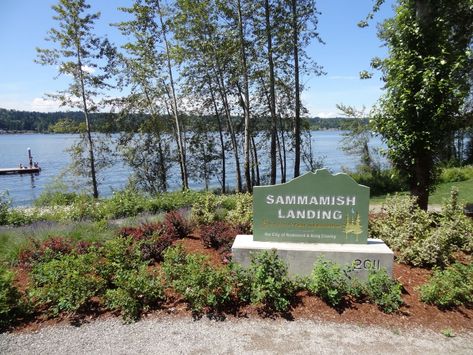 East Lake Sammamish Trail, Lake Sammamish State Park, Issaquah, Washington, United States of America | AllTrails.com Lake Sammamish Washington, Sammamish Washington, Issaquah Washington, East Lake, Pacific Northwest, Hiking Trails, State Park, North West, States Of America