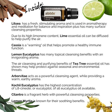 Abode Doterra, Hair Recipes, Doterra Blends, Doterra Essential Oils Recipes, Ayurvedic Healing, Lime Essential Oil, Lemon Eucalyptus, Sleep Relaxation, Essential Oils Cleaning