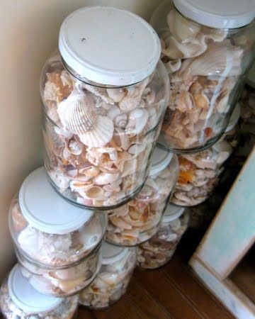 Simple glass jars for displaying your collections Displaying Shells, Beach Jar, Seashell Display, Shell Display, Shells And Sand, Seashell Projects, Southern Life, Coastal Beach Decor, Shell Collection