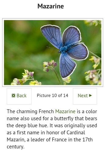 MAZARINE. This is another name currently reserved for the name enthusiasts! But it's pretty, means "blue" or "butterfly" and makes me think of Nazarene. Maisie is a cute nickname option! #babynames #girlnames #naturenames #colornames #uncommon #unique Butterfly Names With Meaning, Butterfly Names, Cute Nickname, Nature Names, Cute Nicknames, Butterfly Quotes, Secret Lovers, Back Pictures, With Meaning