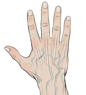 Showing the Tendons and Veins when Drawing Hands Hand Veins, Neck Drawing, Arm Drawing, Draw Hands, Anime Hands, Drawing Tutorial Face, Hand Drawing Reference, Drawing Process, Anime Drawings Tutorials