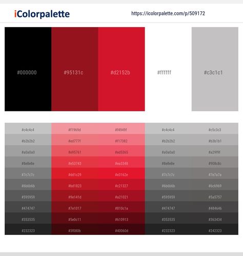 Black Color Palette, Red Colour Palette, Grey Color Palette, Grey Color Scheme, Grey Outfit, Black Business, Color Swatch, Black White Red, Red And Grey