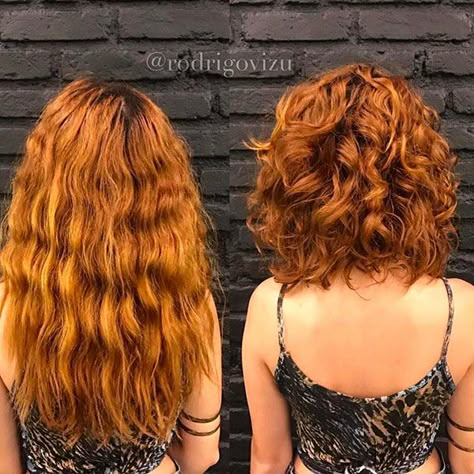 Curly Natural Curls, Haircuts For Curly Hair, Best Short Haircuts, Long Bob Hairstyles, Curly Bob Hairstyles, Curly Hair Cuts, Medium Hair Cuts, Long Bob, Short Bob Hairstyles