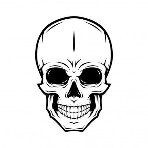 Skull Illustration, Human Skull, Premium Vector, Black And White, Human, White, Black