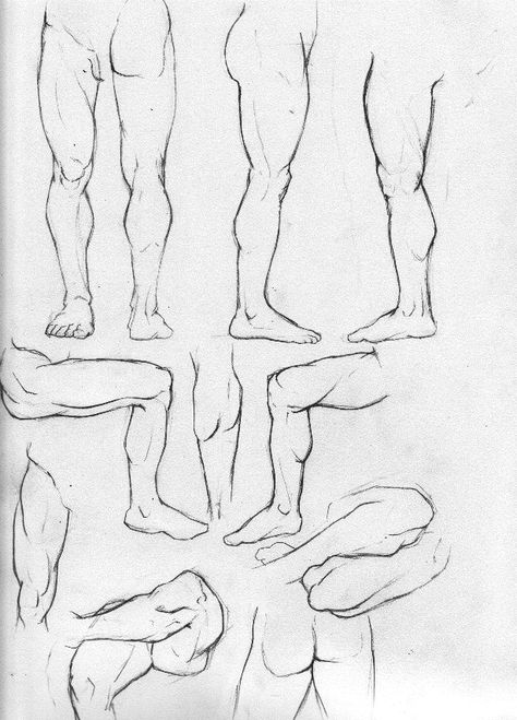 Anatomy Study Part 4-Legs by Rogzilla Male Body Study, Sketchbook Pages Inspiration, Male Body Drawing, Figure Studies, Drawing Legs, Leg Art, Body Study, Man Anatomy, Human Anatomy Drawing