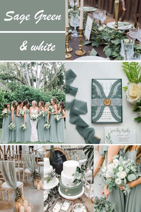 Sage Green Wedding Parents, Sage Green Invitations Weddings Simple, Sage Green And Navy Wedding Colors, Wedding Motif Ideas 2023 Sage Green, Green Cream Wedding Colors, Wedding Motifs Ideas, Wedding Theme Green And White, Miss Green Wedding, Sea Glass And Sage Wedding