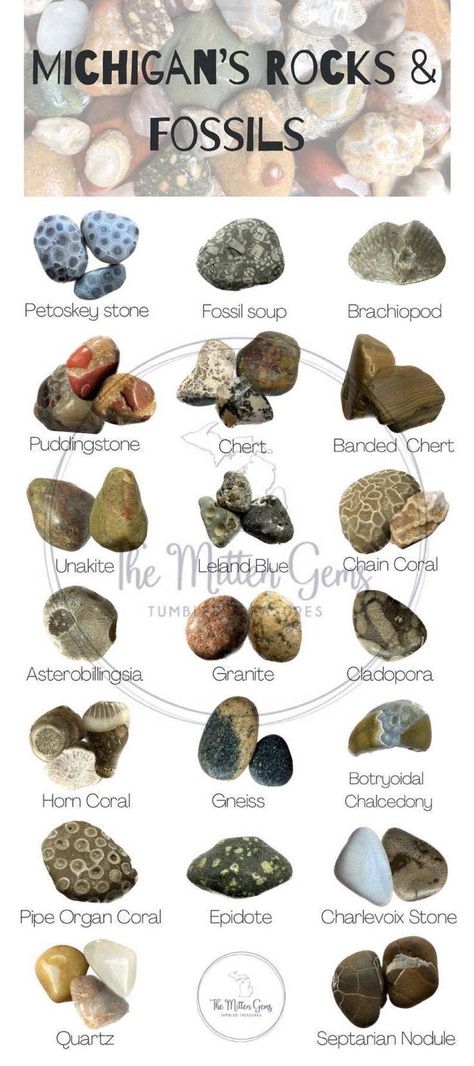 Michigan Great Lakes Rocks & Minerals | Michigan Rocks Lake Michigan Rocks Identification, What To Do With Rocks You Collect, Raw Gemstones Rocks Natural, Lake Michigan Rocks, Lake Superior Rocks Identification, Michigan Rocks And Minerals, How To Polish Rocks By Hand, Rock Decor Home, Displaying Rocks