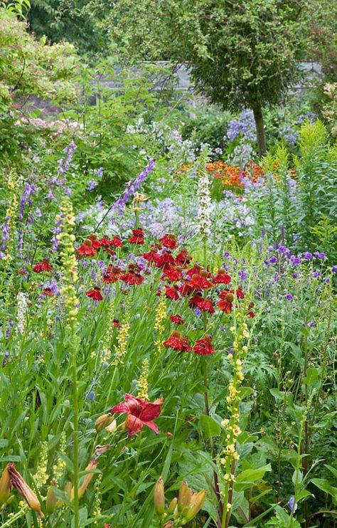 Wild Cottage Garden, Cottage Garden Planting Scheme, Cottage Garden Allotment, Cottage Garden Watercolour, Gardeners Cottage Edinburgh, Potager Garden, Cottage Garden Plants, English Country Gardens, English Cottage Garden