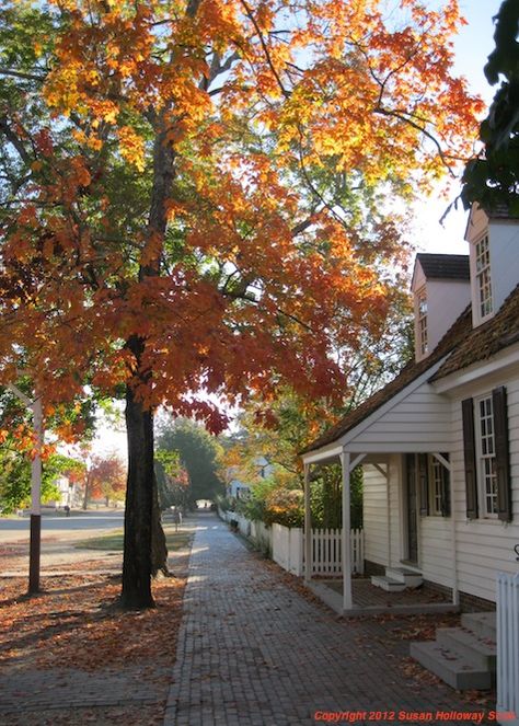 Weddings Vibes, Colonial Williamsburg Va, Colonial Williamsburg Virginia, Autumn Pictures, History Aesthetic, Colonial Garden, Fall Accents, Fall Morning, Primitive Colonial