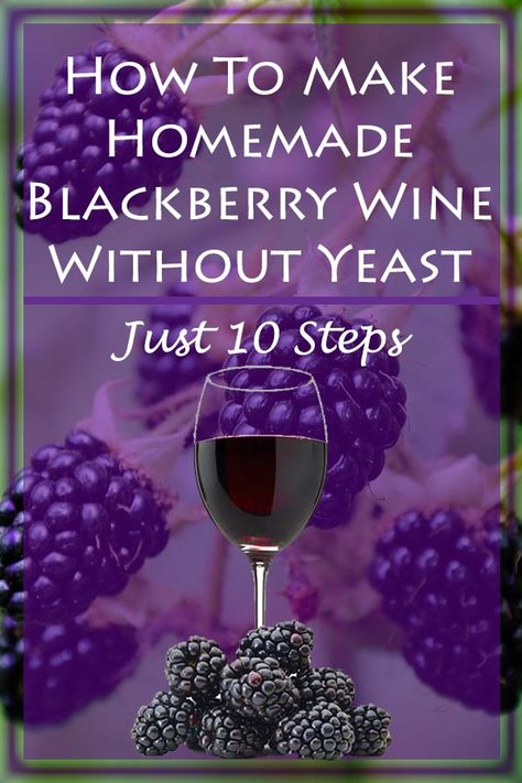 Make Wine At Home, Fruit Wine Recipes, Wine Making Recipes, Homemade Wine Recipes, Wine At Home, Homemade Alcohol, Blackberry Wine, Homemade Liquor, Liquor Recipes