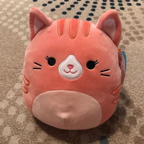 Squishmallow GiGi the Cat 8” Peach Cat, Cute Squishies, Kawaii Plushies, Cute Kawaii Drawings, Cheap Gifts, Cute Stuffed Animals, Cute Little Things, Cute Little Drawings, Orange Cat