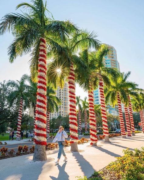 VISITFLORIDA on Instagram: "Christmas trees ... the 𝙁𝙡𝙤𝙧𝙞𝙙𝙖 way. 👆🎄🌴 Are you celebrating the holidays in the Sunshine State? ☀️ #LoveFL 📸: @vspc 📍: St. Petersburg Pier" Christmas Dinner Outfits, Gifts For Men Christmas, Dinner Outfits Winter, Outfit Ideas Christmas, Winter Outfits Christmas, Christmas Destinations, Kids Holiday Gifts, St Petersburg Florida, Warm Christmas