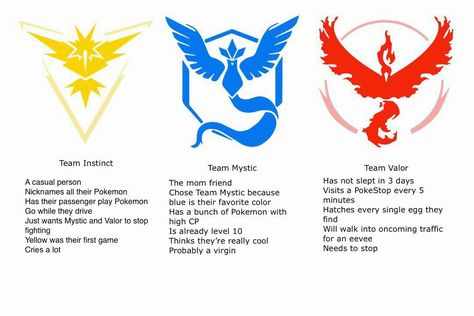 Pokemon Go Teams Leaders, Team Valor, Team Mystic, Team Instinct, Pokemon Blue, Gotta Catch Them All, Go Team, Play Pokemon, Pokemon Funny