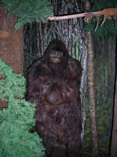 Real Bigfoot Pictures, Real Bigfoot, Bigfoot Pictures, Yeti Bigfoot, Bigfoot Art, Bigfoot Sightings, Unexplained Phenomena, Bigfoot Sasquatch, Ancient Mysteries