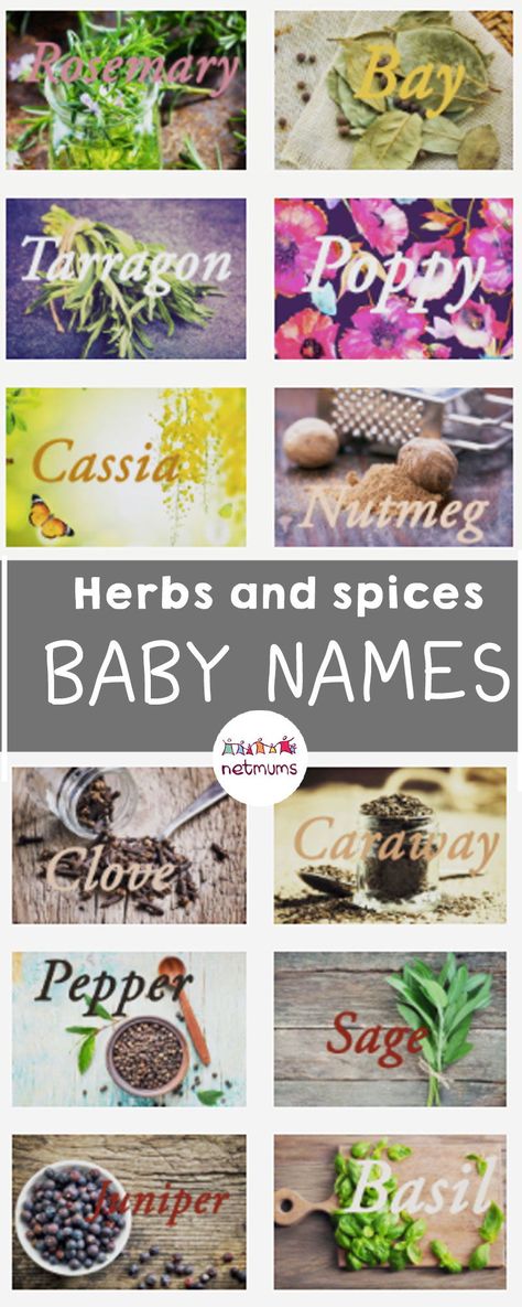 Herbal Names, Folk Names For Herbs, Herbs To Get Pregnant, Dog Names Food Related, Herbs For Pregnancy, Spice Names, Herb Names, Asian Spices, Baby Name List