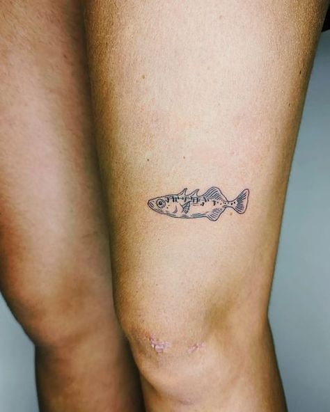 Striped Bass Tattoo, Faye Webster Tattoo, Bea Tattoo, The Smiths Tattoo, Small Fish Tattoos, My Favorite Human, Fish Tattoo, Knee Tattoo, E Tattoo