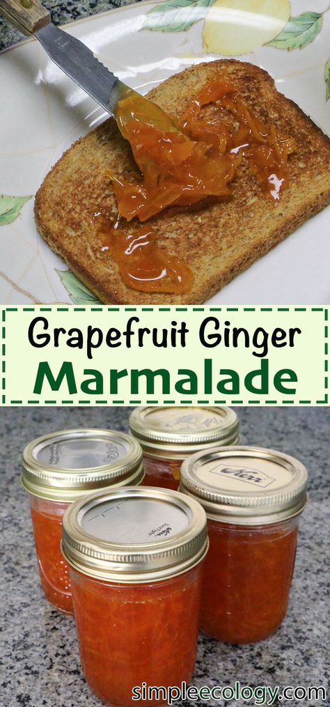 Orange Grapefruit Ginger Marmalade, Citrus Preserves Recipe, Homemade Jelly Jam for Breakfast Toast Pancakes, Simple Easy, Yummy Cake Sandwich DIY  #easyrecipes #homemade #breakfast #fruit #cooking #yummy Orange Ginger Marmalade Recipe, Pineapple Marmalade Recipe, Easy Marmalade Recipe, Ginger Marmalade Recipe, Marmalade Recipe Easy, Grapefruit Jam, Pancakes Simple, Ginger Marmalade, Organic Dinner Recipes