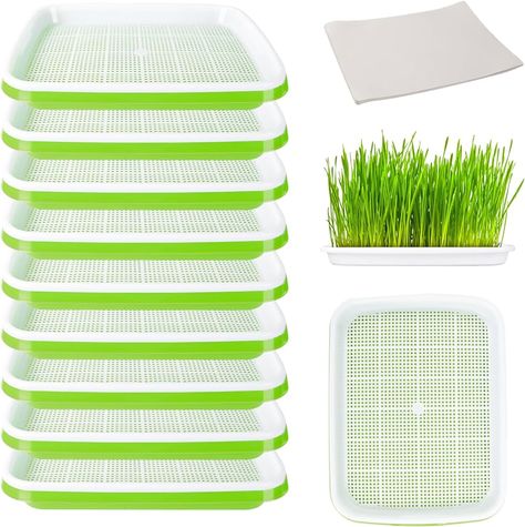 Fohil 10 Packs Seed Sprouter Tray with Seedling Paper, Double Layer Garden Seed Starting Sprouting Kit for Wheatgrass Cat Grass, Soil-Free Seed Tray Big Capacity Healthy Grower Storage Trays : Amazon.ca: Patio, Lawn & Garden Layer Garden, Seed Sprouter, Broccoli Seeds, Storage Trays, Cat Grass, Seed Germination, Wheat Grass, Greens Recipe, Seed Starting