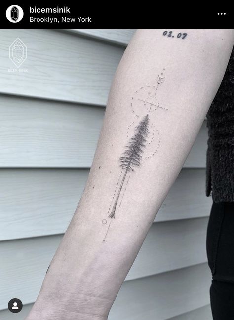 Sequoia Tattoo, Redwood Tree Tattoo, Redwood Tattoo, Orion Tattoo, Engraving Tattoo, Pine Tree Tattoo, Sequoia Tree, Tree Tattoo Designs, Redwood Tree