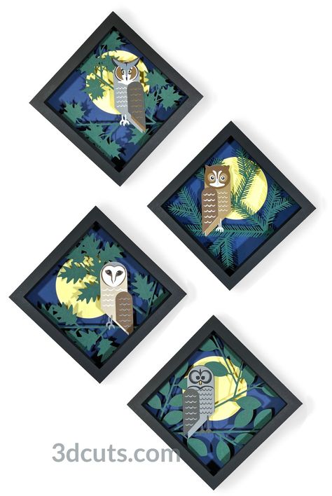 Owl Shadow, Papercut Light Boxes, Owl Tutorial, Drawing Programs, Screech Owl, Box Tutorial, Light Boxes, Barred Owl, Silhouette Design Studio