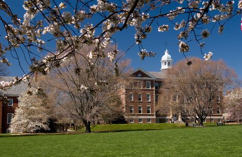 The campus green at WAC: site of many an epic (and not a few less-than-epic) townball game. Washington College Chestertown, Chestertown Maryland, Washington College, Eastern Shore Maryland, Eastern Shore, Wide World, Alma Mater, Chesapeake Bay, College Life