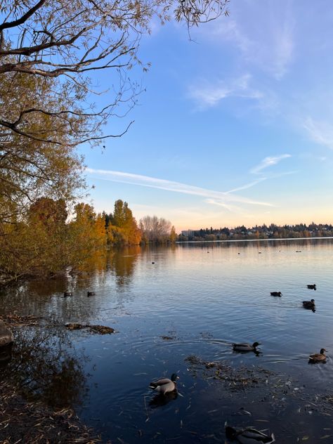 Lake In Autumn, Fall Lake Aesthetic, Fall Blue Aesthetic, Fall Aesthetic Blue, Blue Fall Aesthetic, Tom Core, Hume Lake, Fall Core, Autumn Moodboard