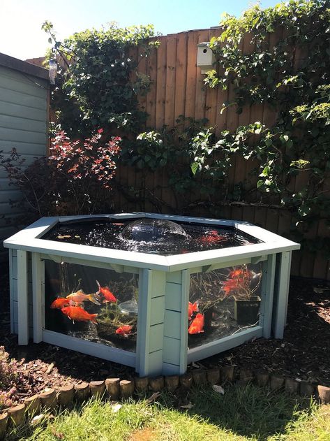 Raised Hexagon Wood Pond with Large Windows  - Lily Clear View Garden Aquarium  in Green 172 Gallon - Walmart.com Garden Aquarium, Deck Plans, Backyard Diy Projects, Ponds Backyard, Exterior Ideas, Fish Pond, Dream Backyard, Backyard Projects, Backyard Fun