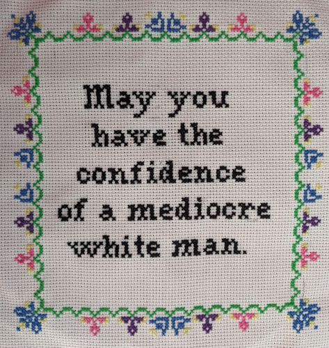 Rude Cross Stitch, Mediocre White Man, Subversive Cross Stitches, Funny Embroidery, Cross Stitch Quotes, Stitch Quote, Funny Rude, Funny Cross Stitch Patterns, Subversive Cross Stitch