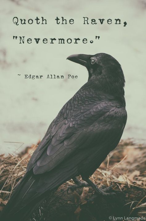 Typography Prints raven quote print poe poem raven art | Etsy Eerie Quotes, Poe Aesthetic, Raven Quotes, Poe Poetry, Spiritual Calling, Spooky Quotes, Spooky Photography, Edgar Allen Poe Quotes, Poe Boy