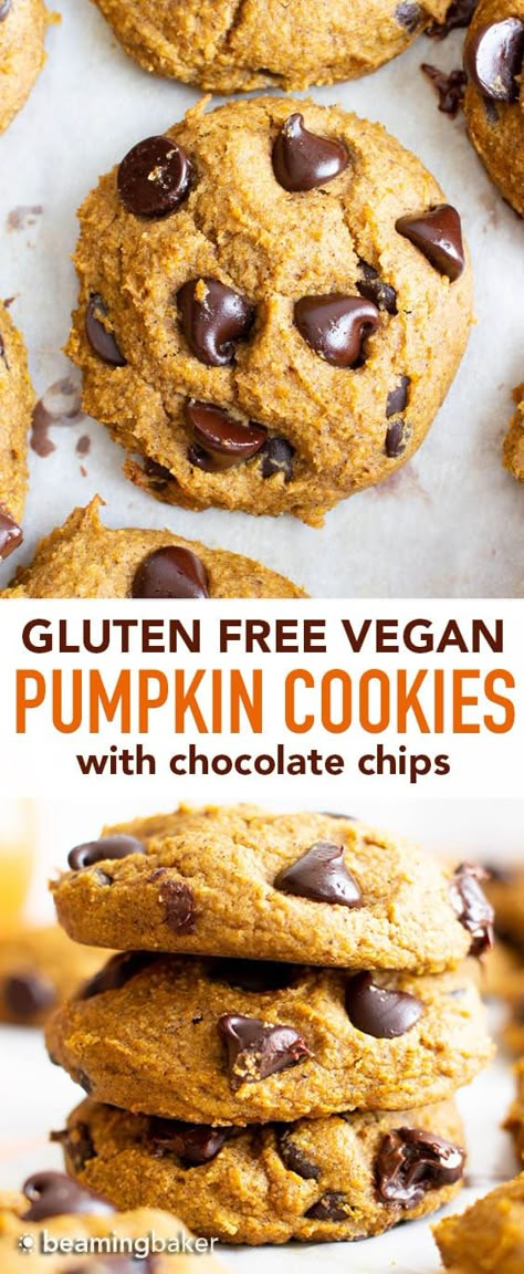 Pumpkin Chocolate Chip Cookies Healthy, Purely Kaylie, Vegan Pumpkin Chocolate Chip Cookies, Cozy Baking, Gluten Free Pumpkin Cookies, Pumpkin Cookies Healthy, Puree Pumpkin, Vegan Pumpkin Cookies, Vegan Pumpkin Spice