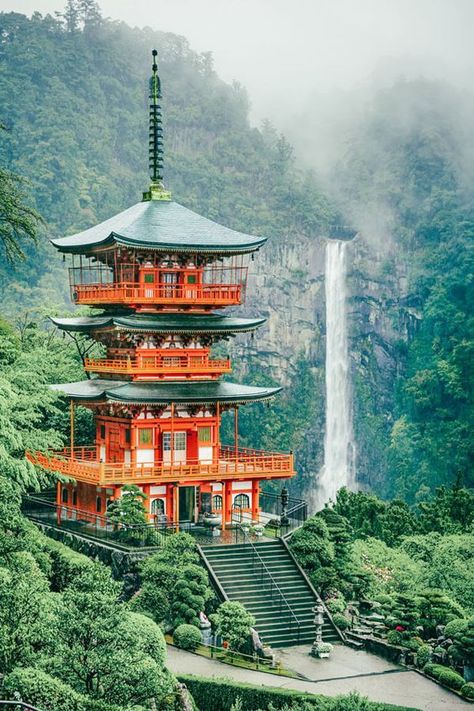 Places In Japan, Beautiful Places In Japan, Japan Bucket List, Japan Sushi, Beauty Plan, Buddhist Temples, Blossom Season, Paris Jackson, Dream Travel Destinations