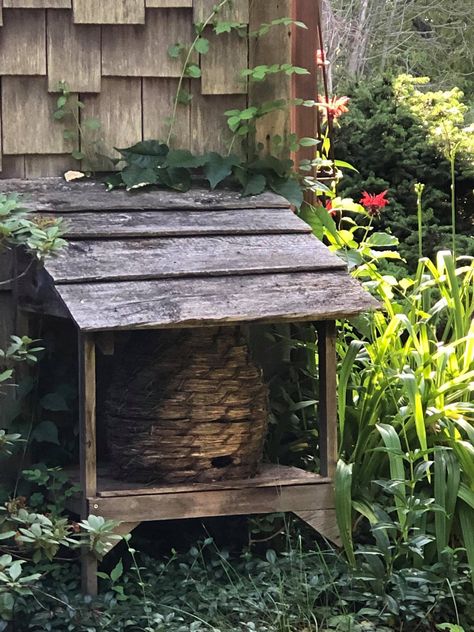 Bee Garden Design, Bee Skep House, Westbury Gardens, Backyard Bee, Bee Skep, Farmhouse Landscaping, Country Cottage Style, Bee Garden, Garden Items