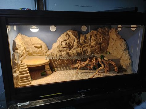 How To Build A Reptile Terrarium, Beardie Tank, Beardie Enclosure, Diy Reptile Tank Lid, Diy Reptile Decor, Diy Reptile Enclosure, Arid Reptile Terrarium, Diy Wooden Reptile Enclosure, Bearded Dragon Tank Setup