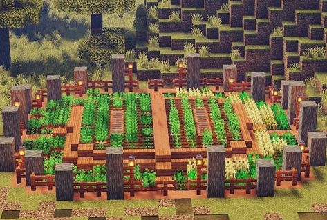 Minecraft Farm Ideas Crops, Minecraft Farm Ideas, Grow Wheat, Savanna Biome, Windmill Images, Carrot Farm, Crop Farming, Farm Images, Carrots Potatoes