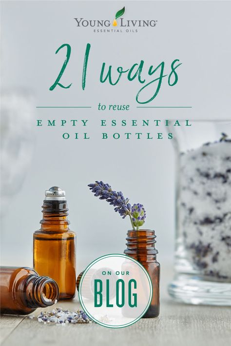 Are you wondering what to do with all of your empty essential oil bottles? Check out our guide to learn over 21 ways you can clean and repurpose them in your healthy and oily lifestyle. #yleo #YLTip #essentialoil Essential Oil Beauty, Essential Oils For Pain, Young Living Essential Oils Recipes, Yl Oils, How To Make Oil, Essential Oil Storage, Yl Essential Oils, Cedarwood Oil, Living Essentials Oils