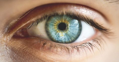 Learn the definition of central heterochromia, a condition that involves eye color, and why it happens. Central Heterochromia, Heterochromia Eyes, Rare Eye Colors, Rare Eyes, Eye Care Center, Laser Eye, Eye Center, Blue Green Eyes, Character Images