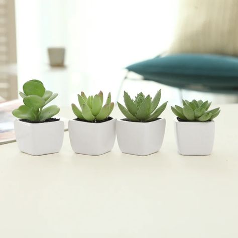 Tall Succulents, Modern Contemporary Living, Garden Escape, White Ceramic Planter, Plant In Pot, Fake Plants Decor, Tiny Plants, Mini Succulents, Pot Set