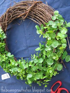 Clover Wreath, Bean Sprout, Cottage Wreath, Cotton Wreath, Seeded Eucalyptus, Boxwood Wreath, Eucalyptus Wreath, Bean Sprouts, Gallery Wall Decor