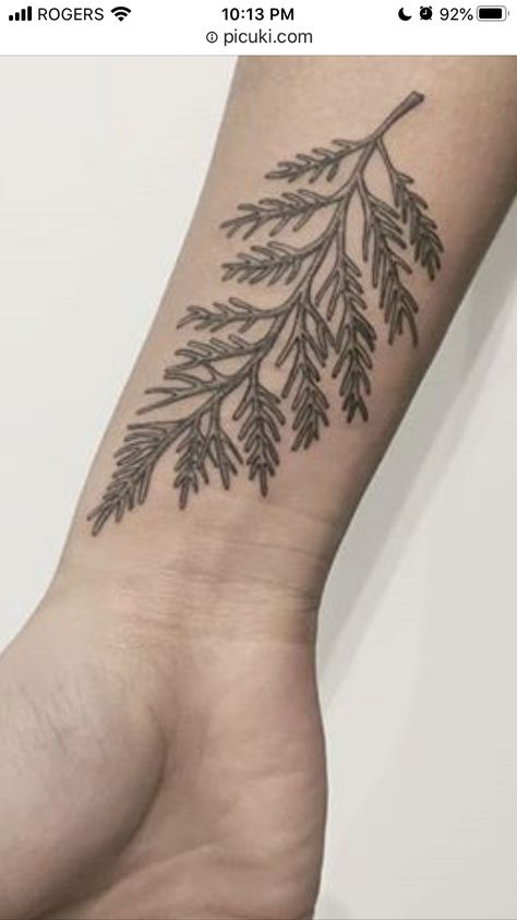 Cypress Branch Tattoo, Evergreen Leaf Tattoo, Cedar Sprig Tattoo, Cedar Leaf Tattoo, Cedar Branch Tattoo, Cedar Tattoo, Cedar Tree Tattoo, Juniper Tattoo, Arm Patchwork