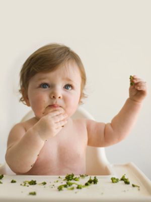 finger foods for babies Feeding Baby Solids, Homemade All Purpose Cleaner, Fingerfood Baby, Baby & Toddler Food, Baby First Foods, Baby Finger Foods, Introducing Solids, Eat Veggies, Solids For Baby