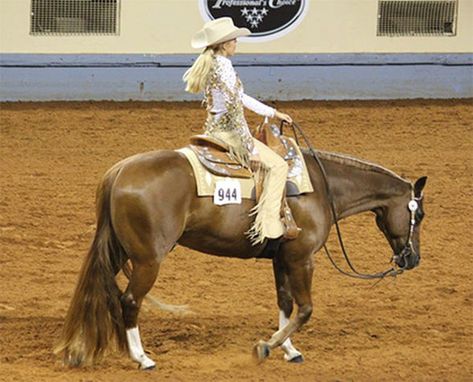 Aqha Western Pleasure, Western Pleasure Outfit, Western Horsemanship, Western Pleasure Horses, Horse Showing, Reining Horses, Horse Show Clothes, Barrel Racing Horses, Show Horse