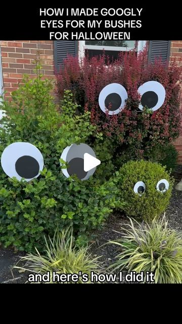 Kids On Kerth Road on Instagram: "How I Made Googly Eyes for My Bushes For Halloween. This is an easy and inexpensive way to get ready for spooky season.#spookyseason #halloween2023 #halloweenseason #kidsonkerth #halloweendecor #halloweenlook #halloweenvibes #halloweendecor #showusyourskelly" Halloween Decorations For Bushes, Halloween Eye Decorations, Halloween Bushes, Spooky Eyes Halloween, Eye Halloween Decoration, Diy Halloween Eyes, Halloween Bush Eyes, Diy Halloween Bush Eyes, Halloween Eyes In Bushes